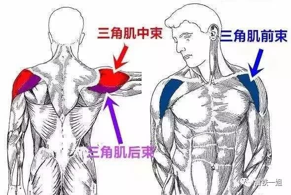 肩后束锻炼方法,肩后束锻炼方法与实地验证分析——DX版81.94.61探索,全面设计执行方案_版尹80.37.76