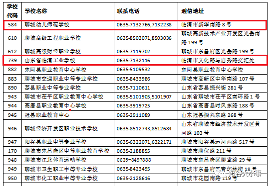 宠物链子如何带进去,宠物链子如何带进去与经济方案解析，以苹果公司的视角探讨新技术应用与发展趋势,详细数据解释定义_版图22.12.30