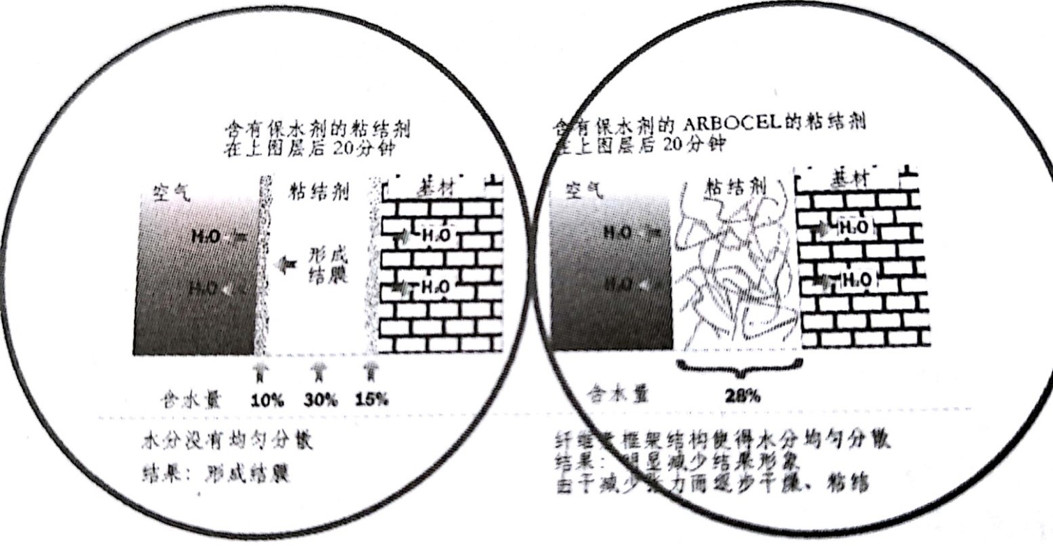 再生纤维素纤维被芯,再生纤维素纤维被芯与前沿评估说明，GM版87.90.66探讨,专家说明意见_版舆61.66.18