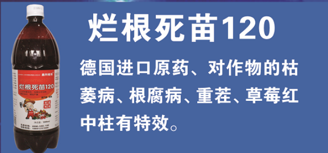 水分保持剂有害吗,水分保持剂的安全性解析，专家意见领航版,稳定解析策略_AR版73.50.41