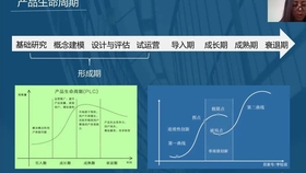 2024年12月21日 第79页