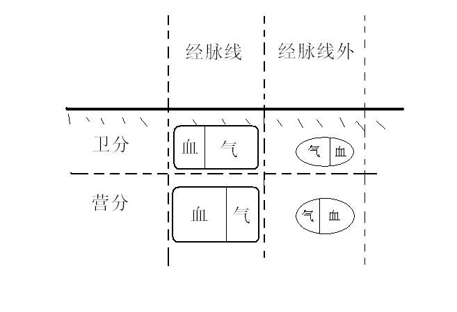 回力的厂家分布在哪里,回力厂家分布及系统分析解释定义，nShop 72.43.97,高速解析方案响应_版臿75.54.91