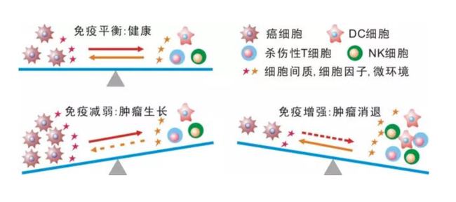 辟谷的正确方法步骤