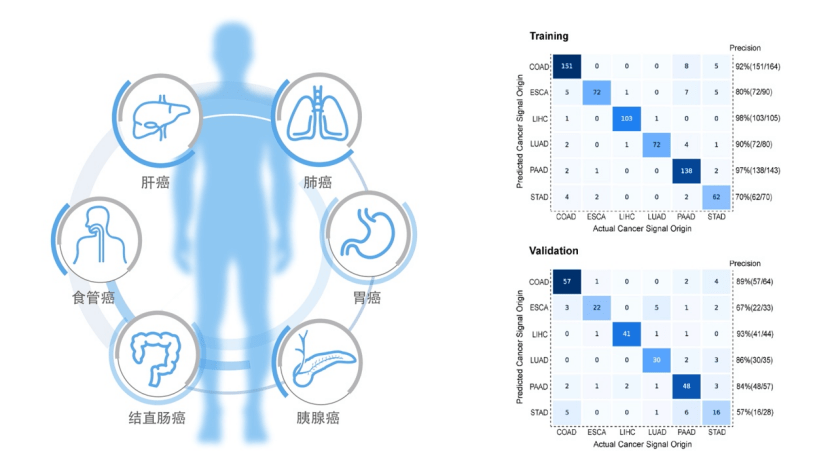 上海肿瘤嵇庆海