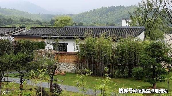 澳门四不像正版免费资料