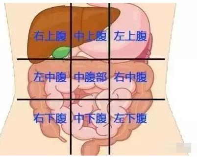 背部疼痛对应部位图片