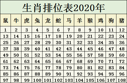 2024十二生肖49码表,揭秘十二生肖纪念版，实地分析数据设计与独特的49码表,标准程序评估_GT67.54.71