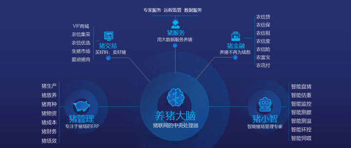 抓码王,抓码王，快捷解决方案纪念版的技术探索与解析,实地评估数据方案_超值版49.22.37