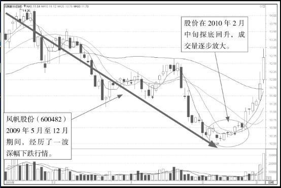 全面数据解析与实地考察分析