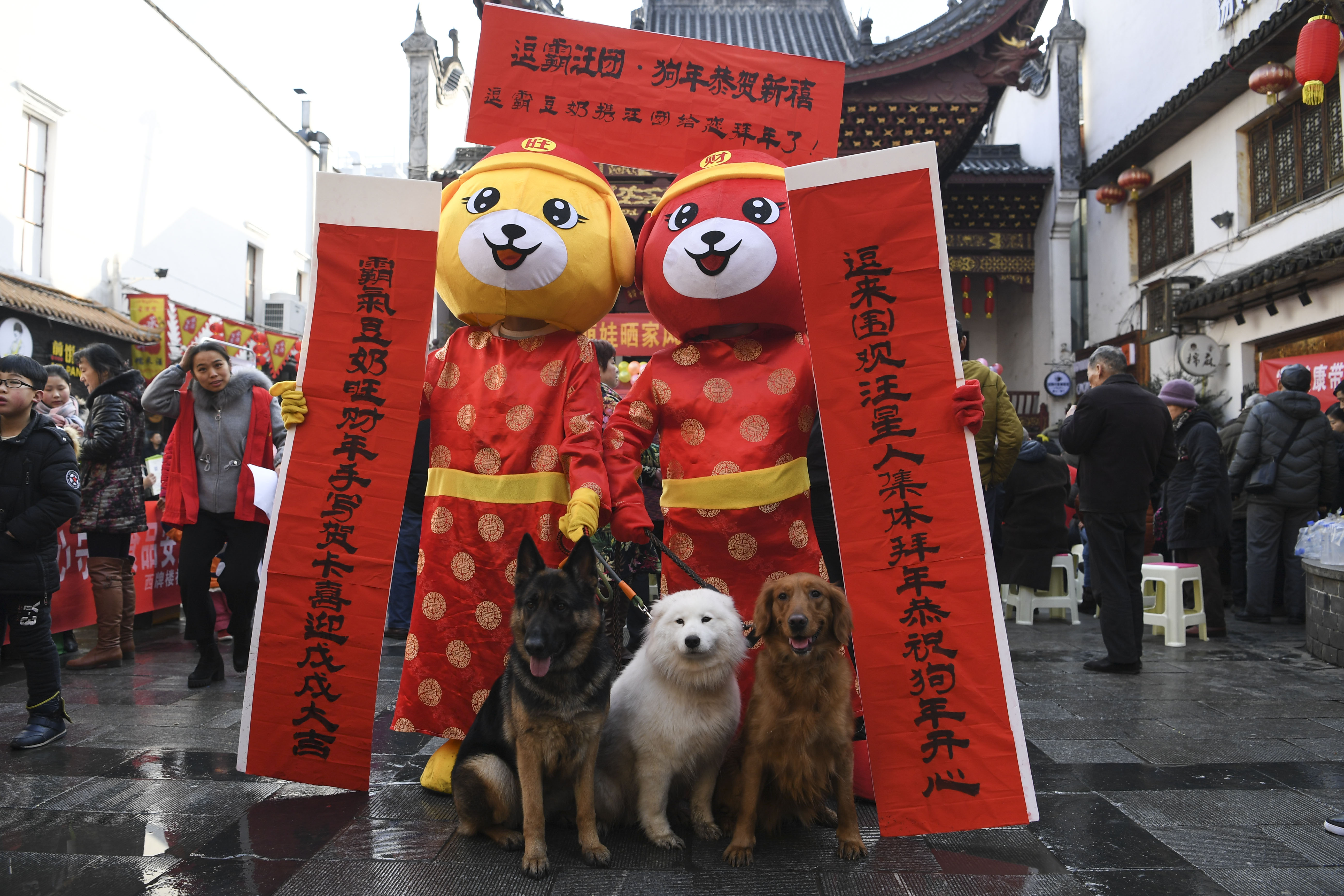 长沙街头外国人扮财神拜锦鲤刮彩票