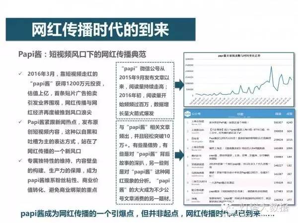 定义与深入分析解释