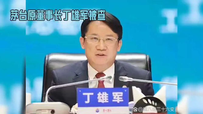 丁雄军被查