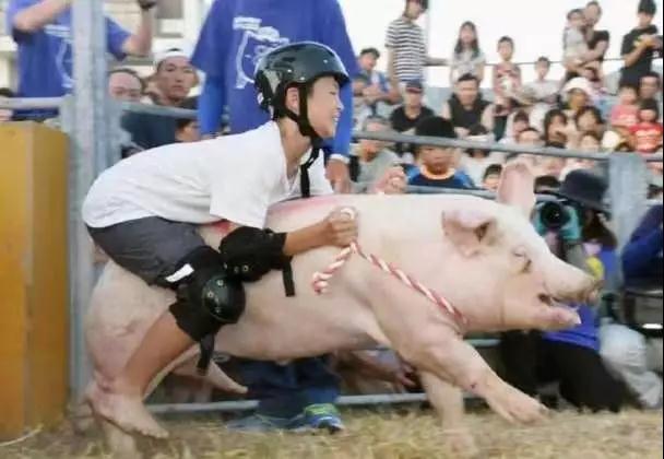 年猪没按住 男子骑猪狂飙几十米