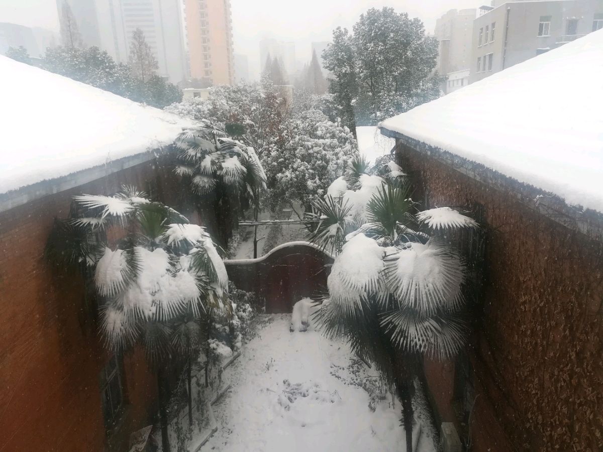 武汉下雪