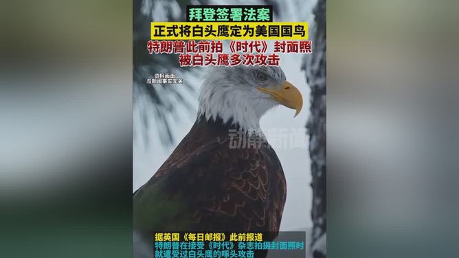 白头鹰正式被定为美国国鸟