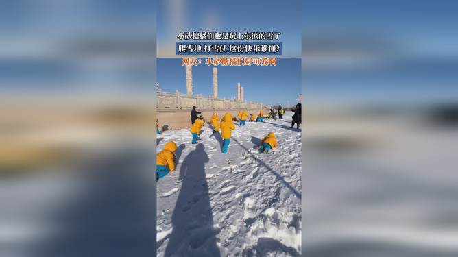 尔滨的雪