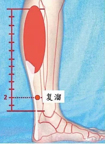 小腿肚子疼