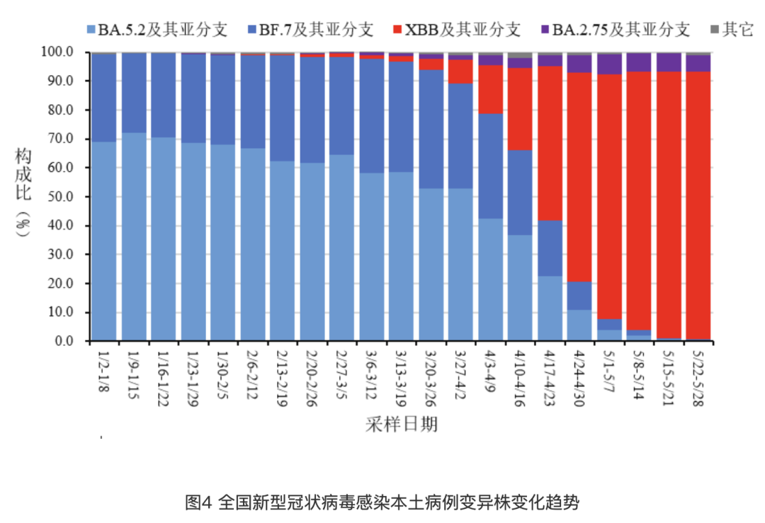 生肖走势图（或彩票预测）