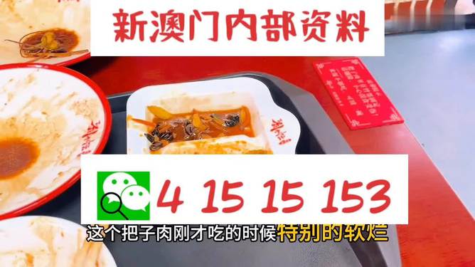 六叔公最精准资料大全