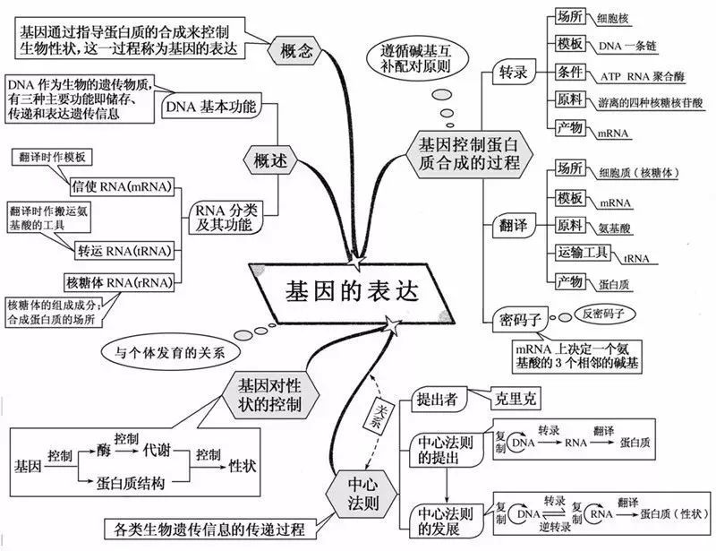 张曼玉梁朝伟只拿到了两页剧本