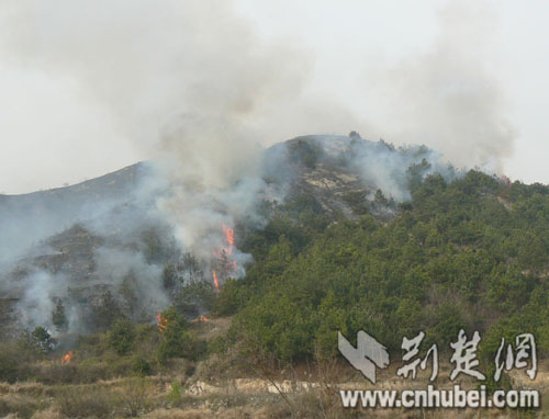 湖北黄石一村庄突发山火 现已扑灭